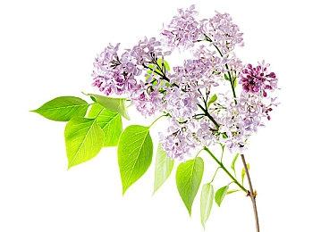 TGA 2022提名&历年获奖作品 现已在Steam开启特卖